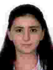 gulhamidenur
