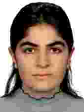 yilmazkoray