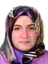 hamadeibrahim