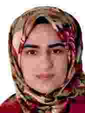 kocamanerdem